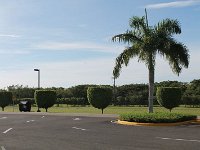 tn 1IMG 0001