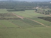 tn 1IMG 0066
