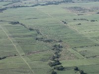 tn 1IMG 0086