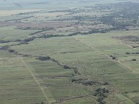 tn 1IMG 0087