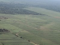 tn 1IMG 0090