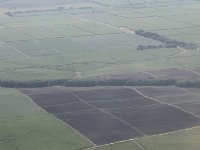 tn 1IMG 0093