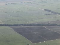 tn 1IMG 0094