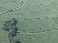 tn 1IMG 0096