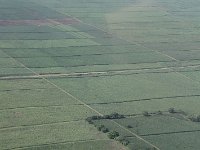 tn 1IMG 0097