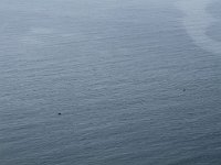 tn 1IMG 0222