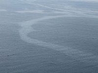 tn 1IMG 0224