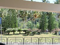 tn 1IMG 0237