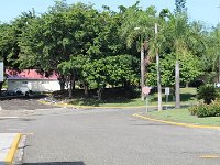 tn 1IMG 0240