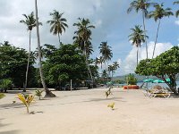 tn 1IMG 0258