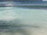 tn 1IMG 0319