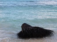 tn 1IMG 0324