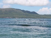 tn 1IMG 0326