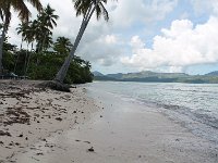 tn 1IMG 0330