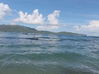 tn 1IMG 0331