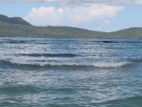 tn 1IMG 0332