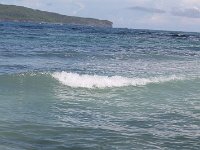 tn 1IMG 0337