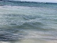 tn 1IMG 0339