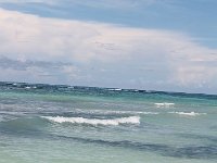 tn 1IMG 0347