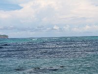tn 1IMG 0357