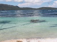 tn 1IMG 0359