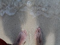tn 1IMG 0365