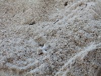 tn 1IMG 0366