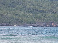 tn 1IMG 0368