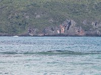 tn 1IMG 0370