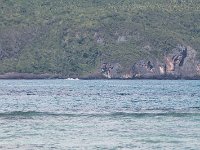 tn 1IMG 0371