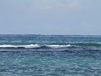 tn 1IMG 0375