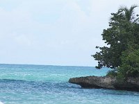 tn 1IMG 0377