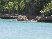 tn 1IMG 0392