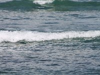 tn 1IMG 0394