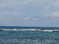 tn 1IMG 0396