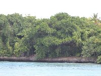 tn 1IMG 0404