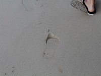 tn 1IMG 0470