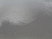 tn 1IMG 0471