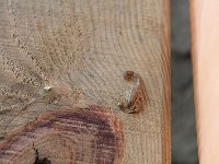 tn 1IMG 0474
