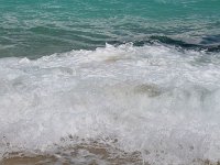 tn 1IMG 0486
