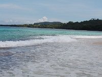 tn 1IMG 0514