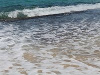 tn 1IMG 0518