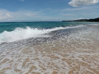 tn 1IMG 0519