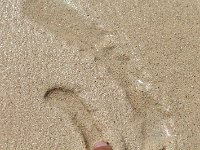 tn 1IMG 0532