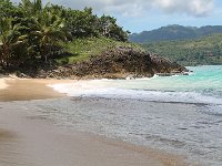 tn 1IMG 0570