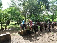 tn 1IMG 0655