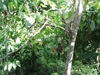 tn 1IMG 0675