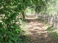 tn 1IMG 0677