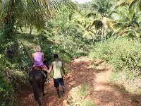 tn 1IMG 0704