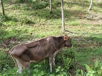 tn 1IMG 0708